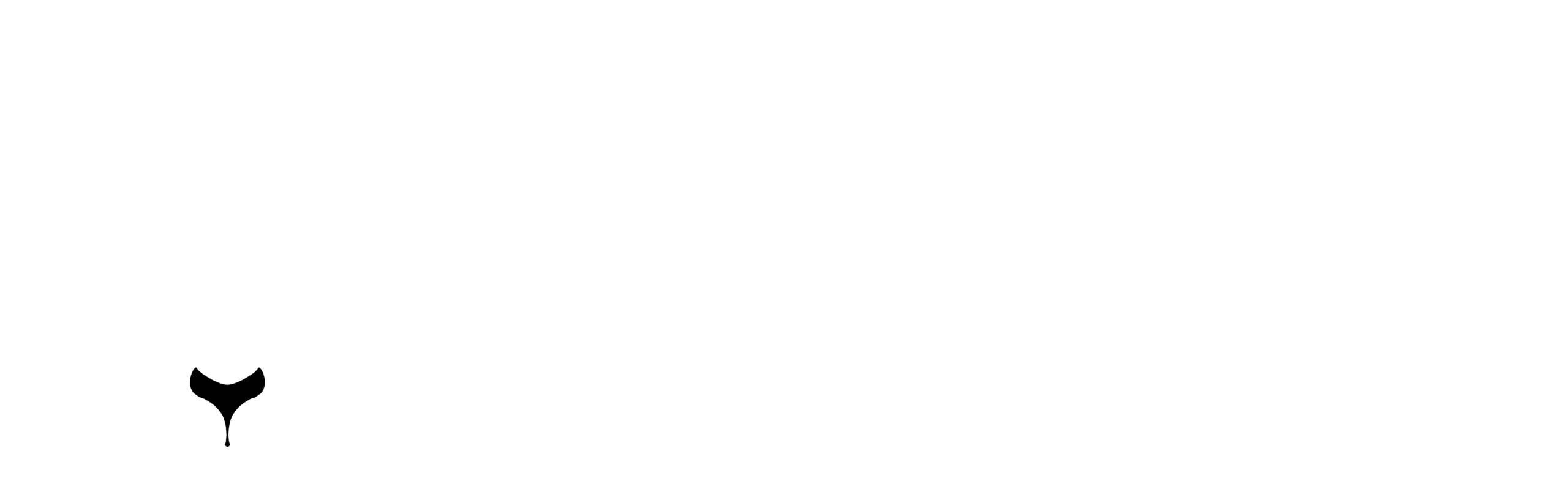 Kanguroo Creative
